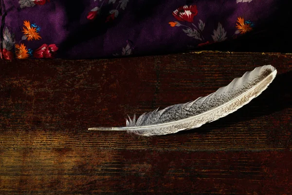 A goose feather on an aged antique dark old red wood background. Quill pen for writing. Violet textile. The concept of language, literature, editing, school, learning, text, poetry. Selective focus.