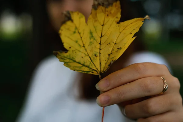 Desenfocar Mano Femenina Sosteniendo Hoja Seca Amarilla Hola Otoño Mujeres — Foto de Stock