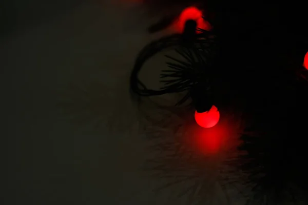Köknar Ladin Brunch Gölgesinde Güçlü Bir Kırmızı Işık Bulanıklaştı Kırmızı — Stok fotoğraf