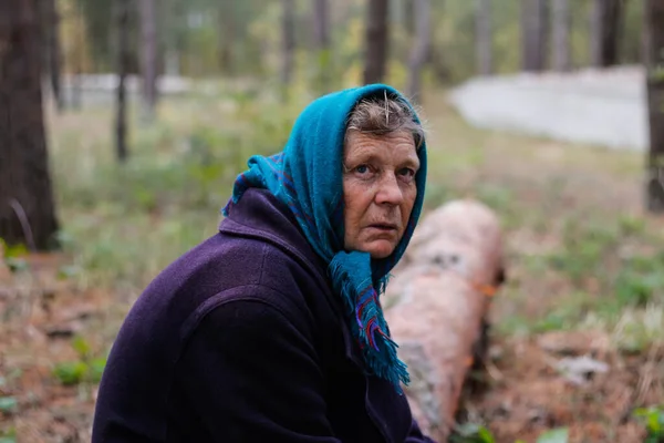 Desenfoque Retrato Abuela Rusa Anciana Mayor Sentado Tronco Bosque Otoño — Foto de Stock