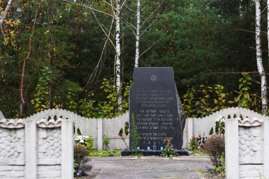 Konyshche, Ukrayna - 22.10.2020: Alman kuvvetleri tarafından Ratno yakınlarında 1942 yılında idam edilen Yahudi halkına adanmış yakın plan anıtı. Savaş ve Nazizm, trajedi. Soykırım. Odaklanamıyorum.