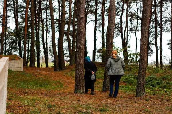 Vue Arrière Déconcentrée Deux Femmes Marchant Dans Forêt Pins Saison — Photo