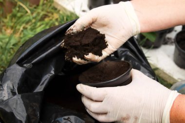 Yakın plan, koruyucu eldiven giyen ve verimli topraklardan oluşan zengin bir toprağı nazikçe tutan bir elin resmi. Eldivenli eldiven toprağı yakından tutuyor. bakım, büyüme ya da mesleki tarım.