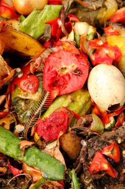A vibrant closeup of a domestic compost bin filled with organic waste and food scraps for recycling. The pile, heap clearly features a red tomato and egg shells.