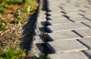 grey stone pavement with weeds texture. Close-up shot of a grey cobblestone or paving tile path bordering a patch of dry earth and green grass. The Traditional Pavement Texture.