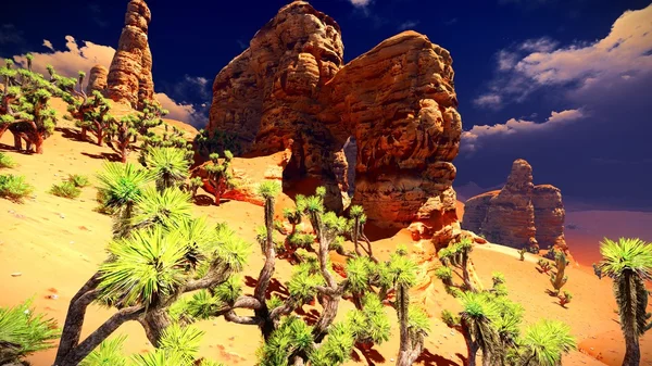 Joshua trees on desert — Stock Photo, Image