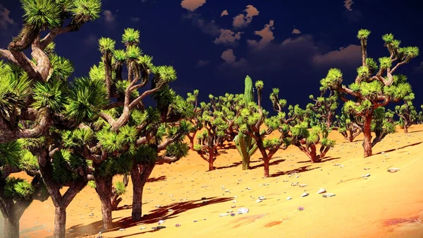 Joshua árboles en el desierto — Foto de Stock