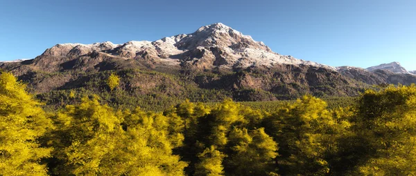 Bella isola boscosa — Foto Stock