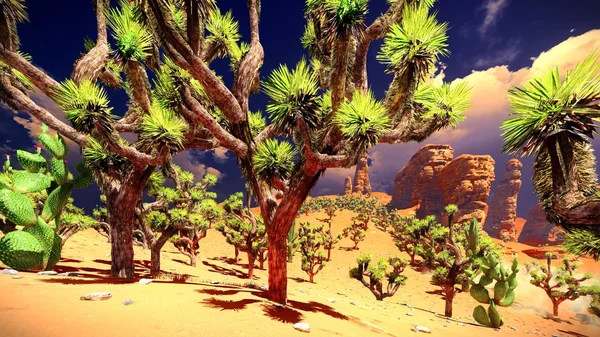 Joshua bomen op woestijn — Stockfoto