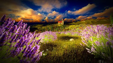 Kale çok yüksek 9ver lavanta alanlar