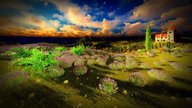 Kale çok yüksek 9ver lavanta alanlar