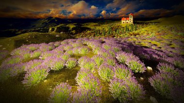 Kale çok yüksek 9ver lavanta alanlar