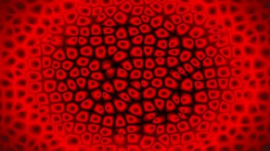 Kan hücreleri animasyon