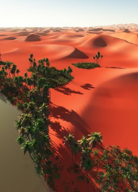 Palmiye ağaçları oasis yakınındaki