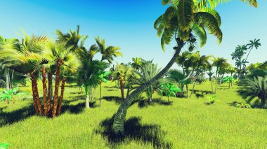 Ormanda yemyeşil bitki örtüsü