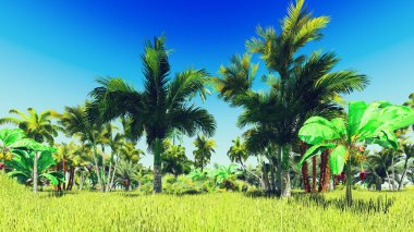 Ormanda yemyeşil bitki örtüsü