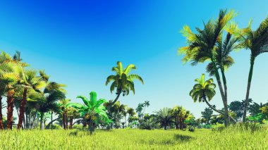 Ormanda yemyeşil bitki örtüsü