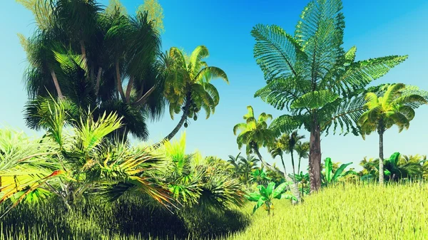 Lush vegetation in jungle — Stock Photo, Image