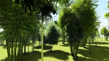 Bambu orman animasyon