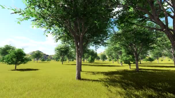 Animation Cèdres 