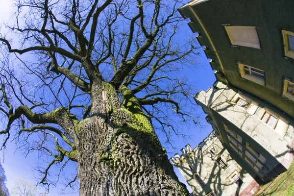 Szczodre in der Nähe von Breslau in Polen — Stockfoto