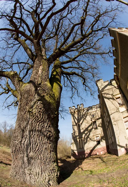 Szczodre near Wroclaw  in  Poland — Stock Photo, Image