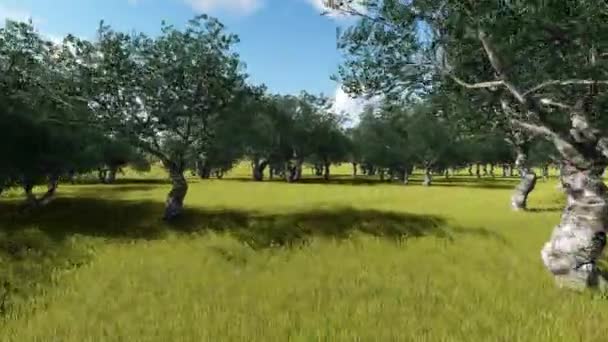 Paisaje rural idílico toscano con olivos — Vídeo de stock