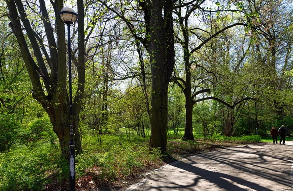 Şehirde huzurlu bir park. — Stok fotoğraf