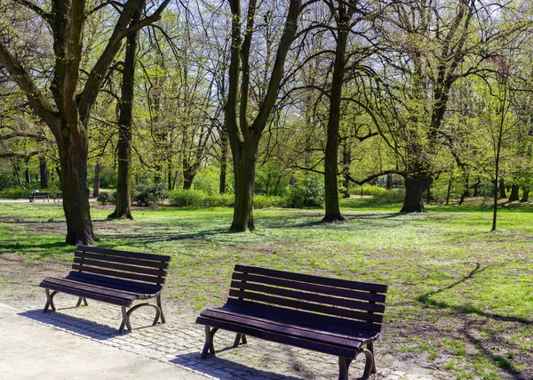 Peaceful park in the city — Stock Photo, Image