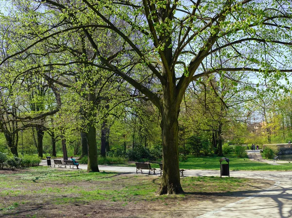 Parque tranquilo en la ciudad — Foto de Stock