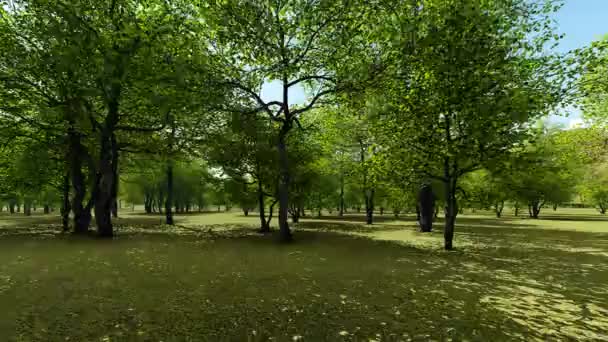 Bahar orchard animasyon — Stok video