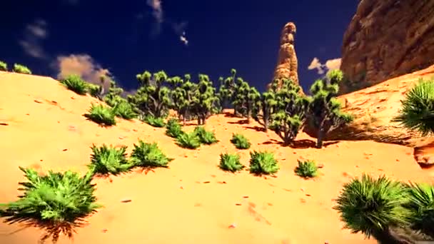 American desert animation — Stock Video