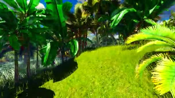 Animation jungle tropicale — Video