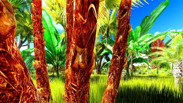 Selva tropical 3d ilustração — Fotografia de Stock