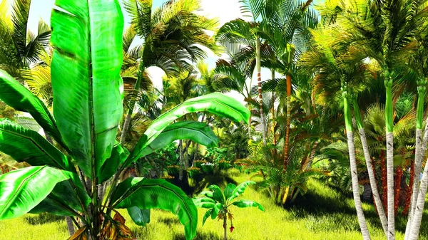 Tropischer Dschungel 3D Illustration — Stockfoto