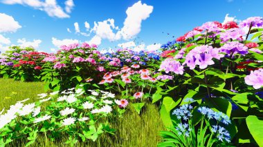 Çayır 3d render üzerinde yaz kır çiçekleri