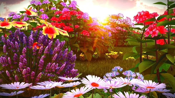 Summer wildflowers on meadow 3d rendering — Stock Photo, Image