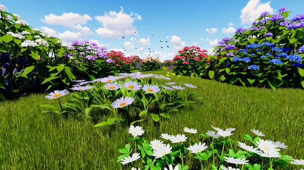 Çayır 3d render üzerinde yaz kır çiçekleri — Stok fotoğraf