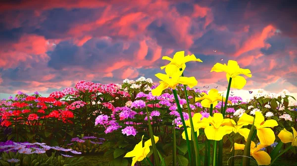 Sommar blommor på ängen 3d-rendering — Stockfoto