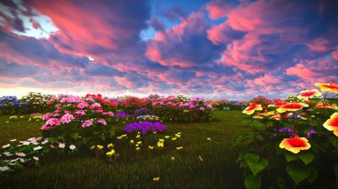 Çayır 3d render üzerinde yaz kır çiçekleri