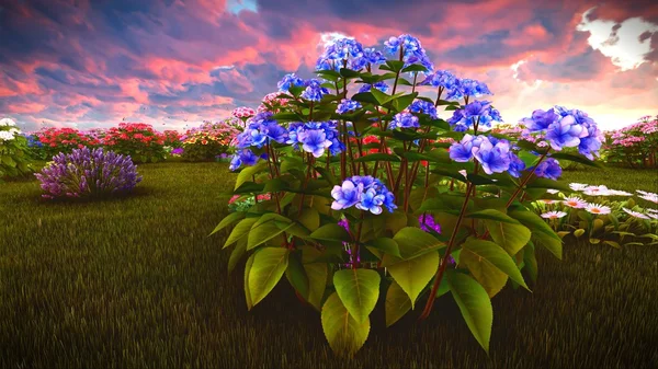 夏季 3d 渲染的草地上的野花 — 图库照片