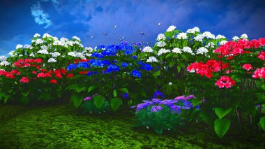 Çayır 3d render üzerinde yaz kır çiçekleri