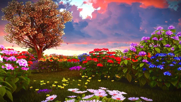 Summer wildflowers on meadow 3d rendering — Stock Photo, Image