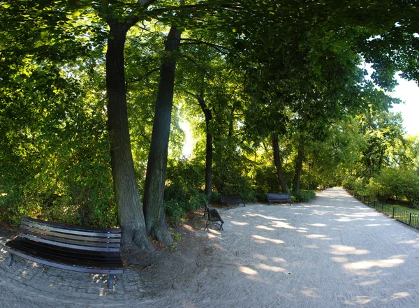 宁静的公园里，弗罗茨瓦夫波兰 — 图库照片