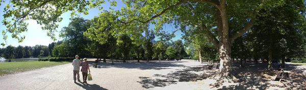 Casal sénior no parque primaveril — Fotografia de Stock