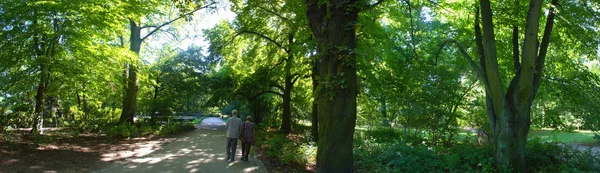 Senior couple in the spring park — Stock Photo, Image