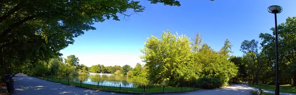 Pittoreske kleine vijver in de blauwe lucht die wordt weerspiegeld. — Stockfoto