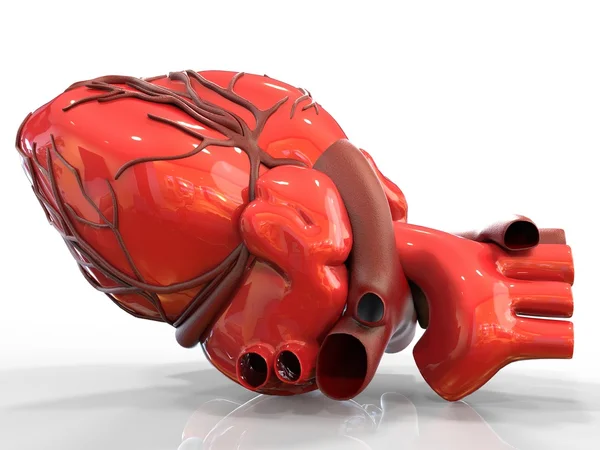Modello di cuore umano artificiale rendering 3d — Foto Stock