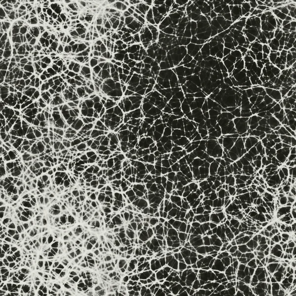 Ανθρώπινη νευρώνες στον εγκέφαλο απρόσκοπτη 3d rendering — Φωτογραφία Αρχείου