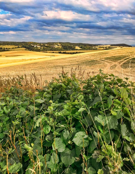 Панорамный пейзаж в Судетах, Польша — стоковое фото